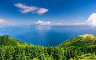 《周四推理俱乐部》:老派智慧与时光温情的悬疑盛宴