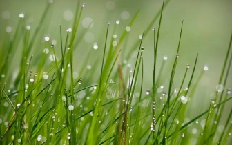 个人丰胸方法！