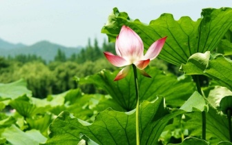 省钱自然美容法!